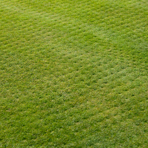 Landscaping in Cookesville, TN