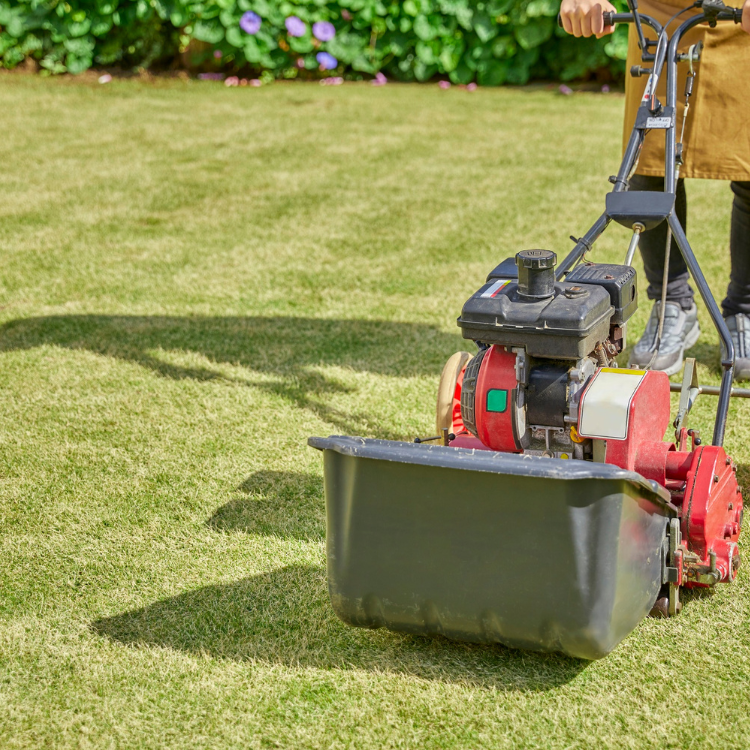 Landscaping in Cookesville, TN