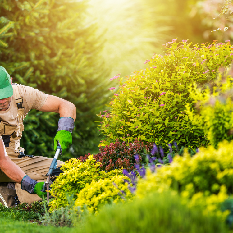 Landscaping in Cookesville, TN
