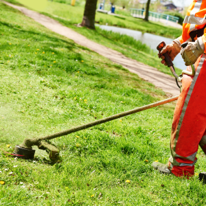 Landscaping in Cookesville, TN