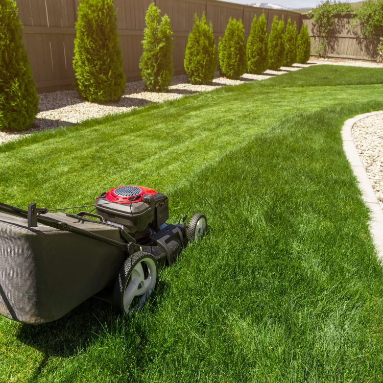 Landscaping in Cookesville, TN