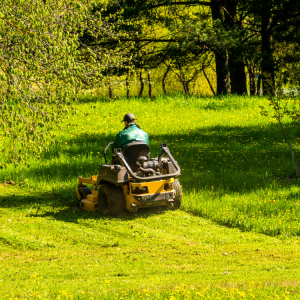 Landscaping in Cookesville, TN