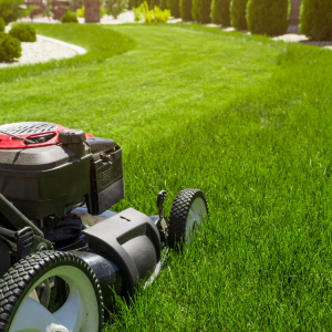 Landscaping in Cookesville, TN