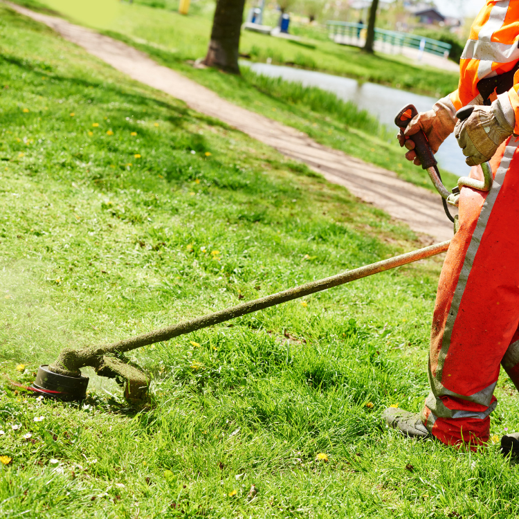 Landscaping in Cookesville, TN