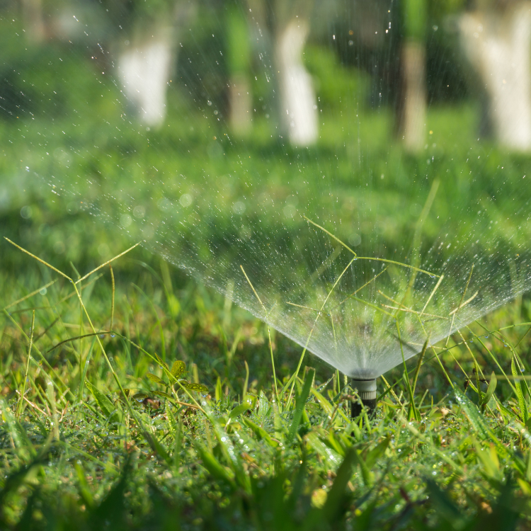 Landscaping in Cookesville, TN