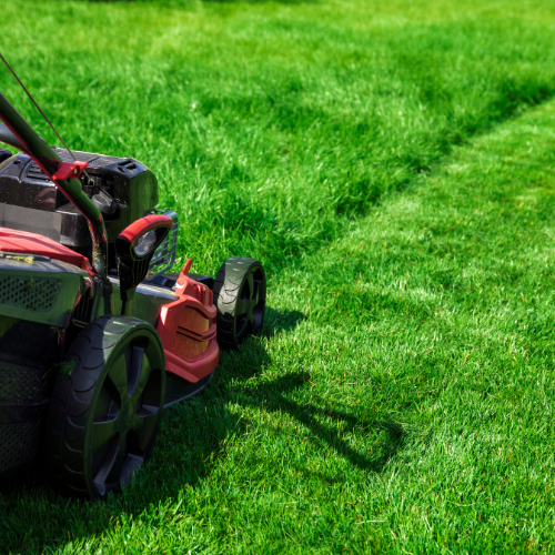 Landscaping in Cookesville, TN