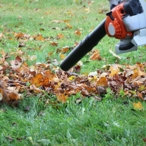 Landscaping in Cookesville, TN