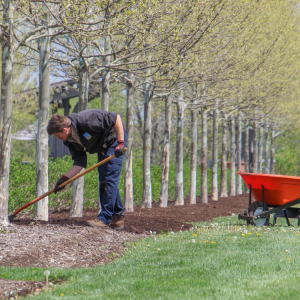 Landscaping in Cookesville, TN