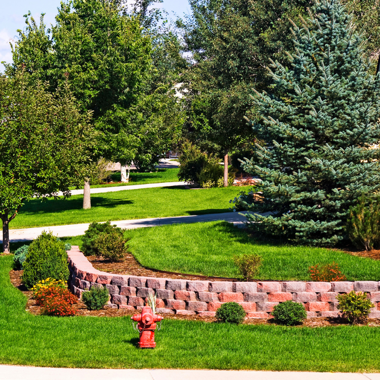Landscaping in Cookesville, TN